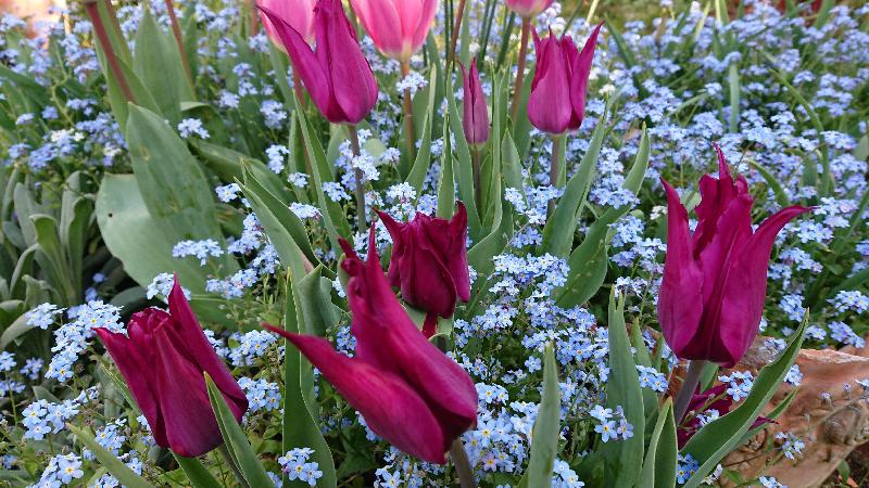 A wide range of varieties and reasonable price