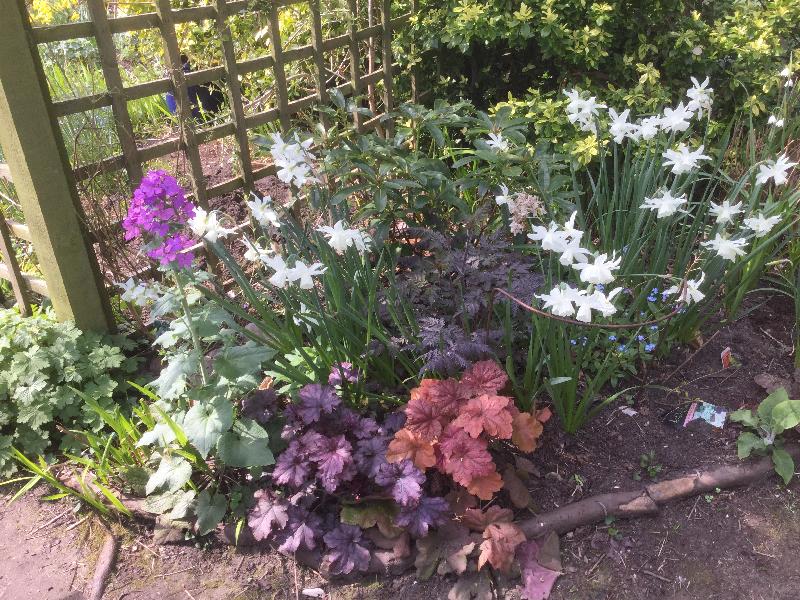 Great bulbs at a really competitive price