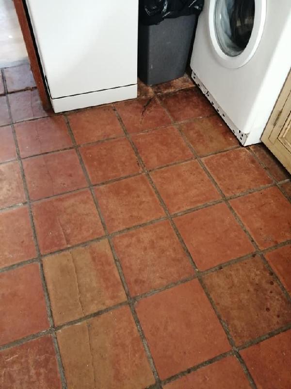 Appalling customer service and upsetting experience never again
