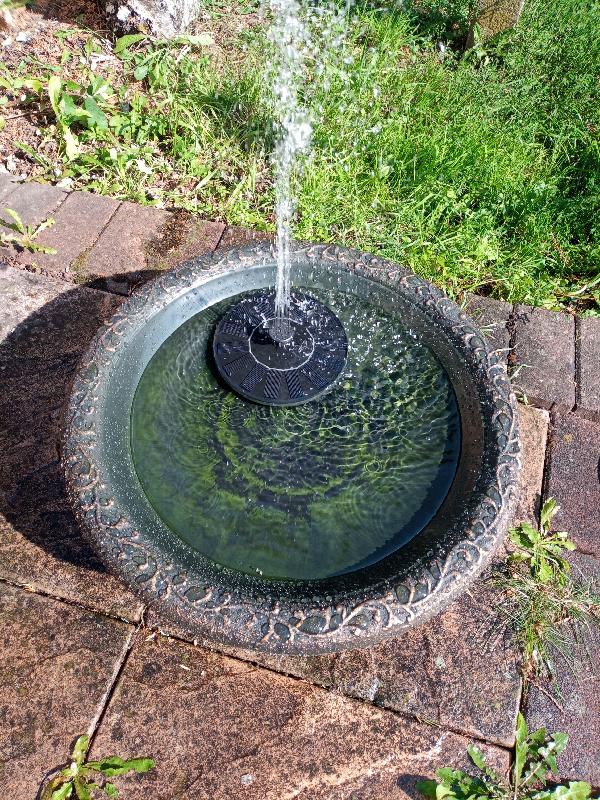 Coniston Bird Bath