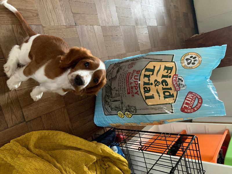 Great service it was smooth and then the puppy loved helping me open it