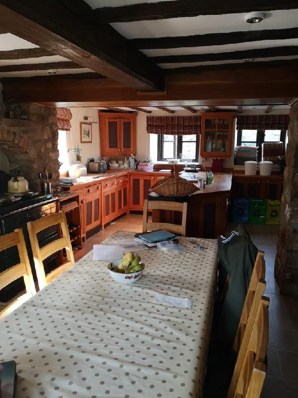 Country Idyl in the Forest of Dean