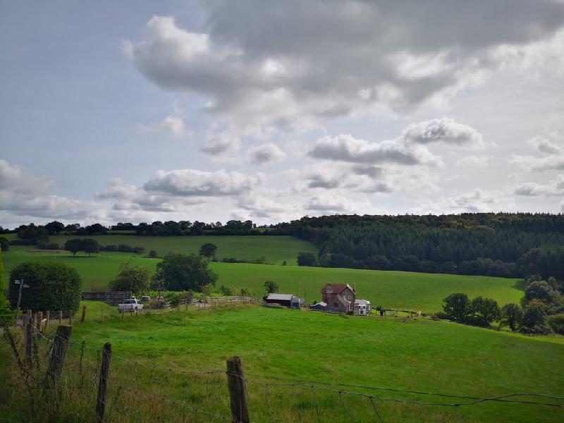 Country Idyl in the Forest of Dean