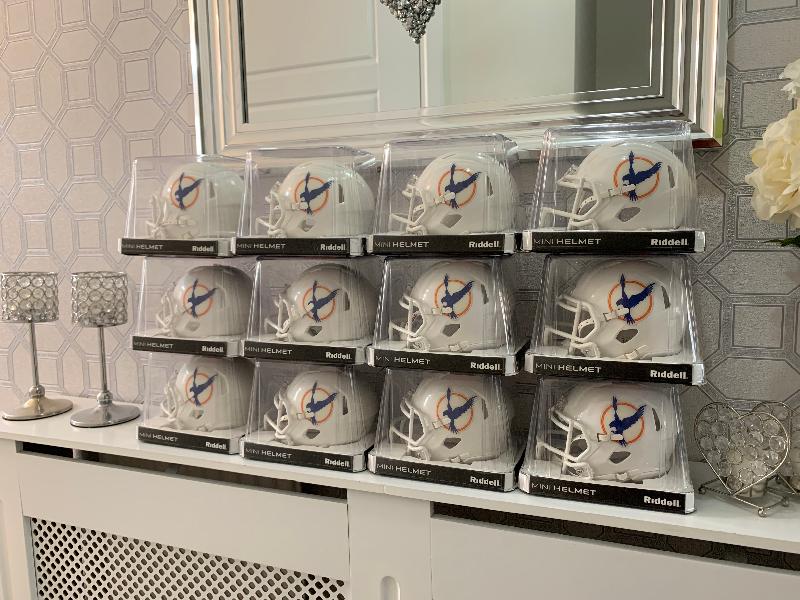 Ordered  12 replica Fylde Falcon mini helmets for ole te. They are excellen