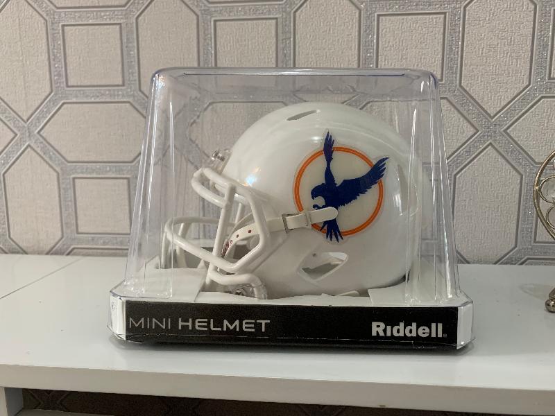 Ordered  12 replica Fylde Falcon mini helmets for ole te. They are excellen