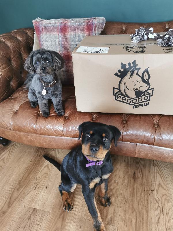 Excellent raw food, great quality, always fast delivery