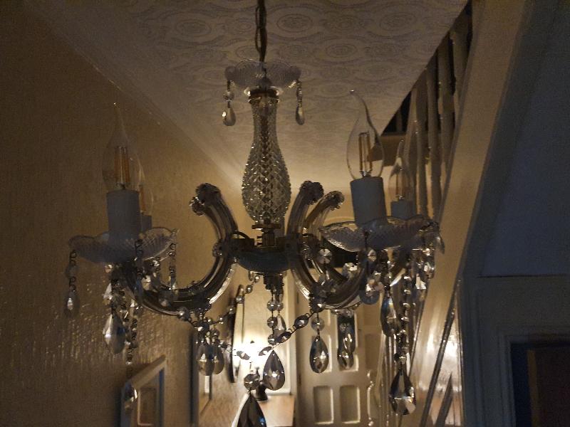 5 * LED Bulbs