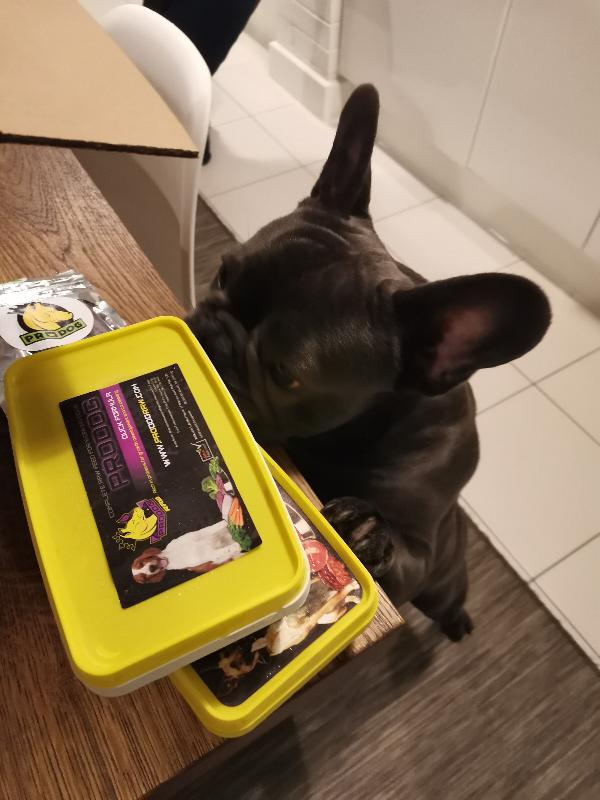 I'm so glad I found ProDog raw