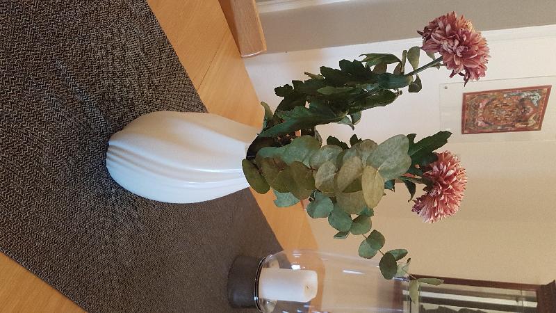 Elegant vase, I love it will buy the smaller one to place with it.
