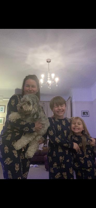Cockapoo fam.