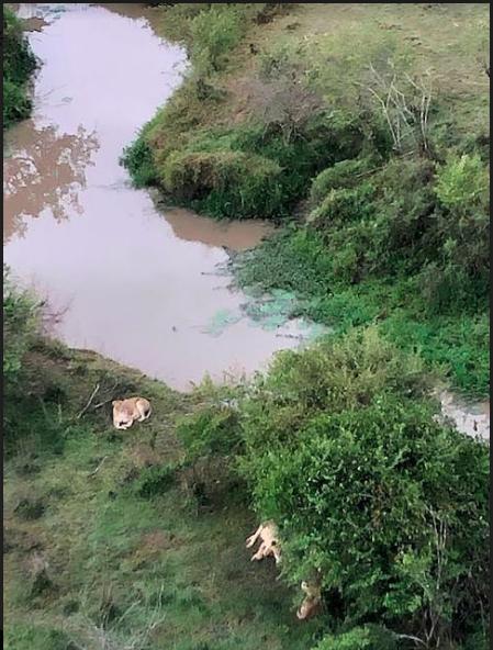 Kenya 2020