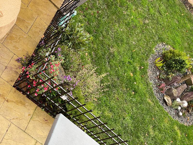Panacea Fencing