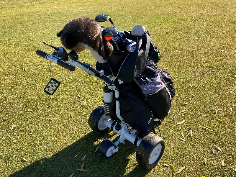 Caddie "PAK" | Best Golf Accessories | Golf Cart Storage