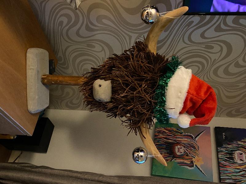 Love my new Coo!