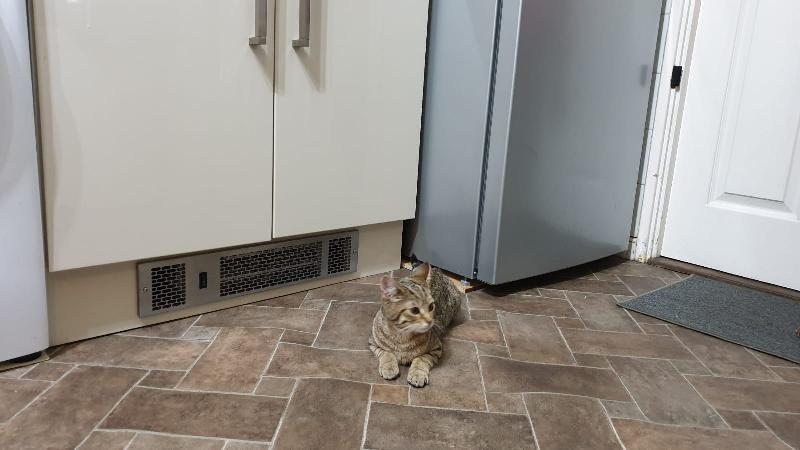 Reliable, good heater with excellent local customer support.