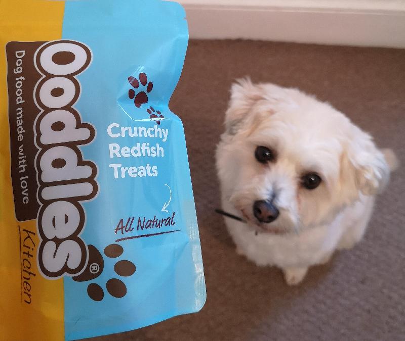 Natural and great quality food , treats