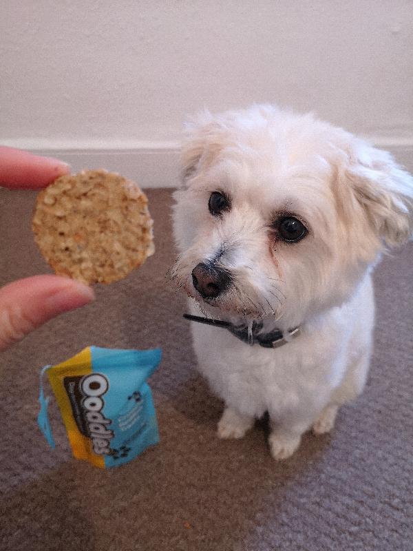 Natural and great quality food , treats