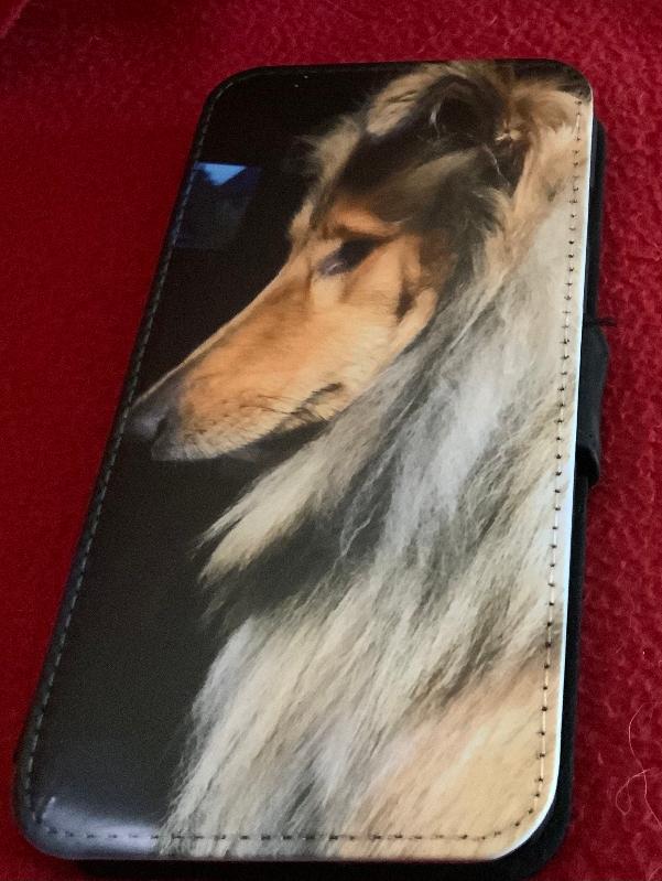 Phone case