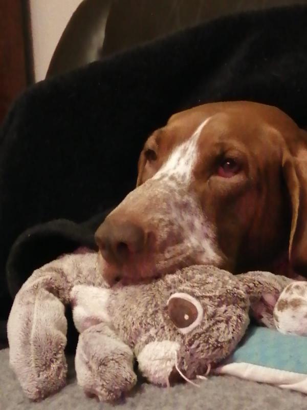 Fab customer service! Def recomd luna loves her raw and very fast delivery