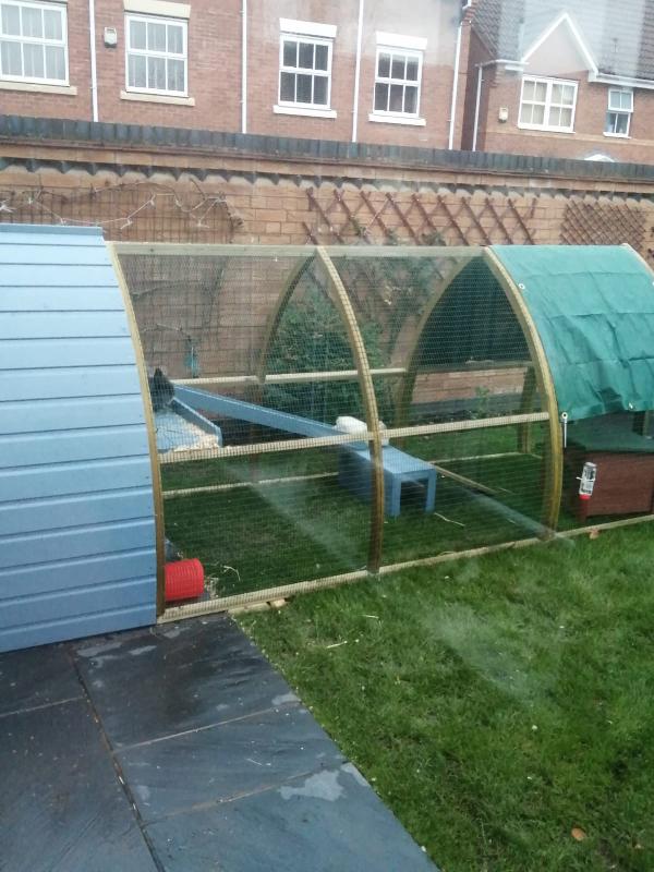 Salisbury Rabbit House and 3ft Extension Run - the perfect bunny palace