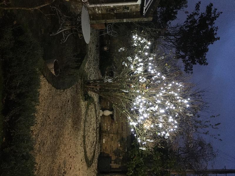 Wonderful Lights