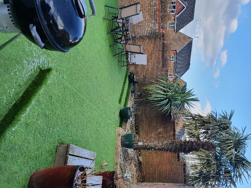 Good value imitation grass