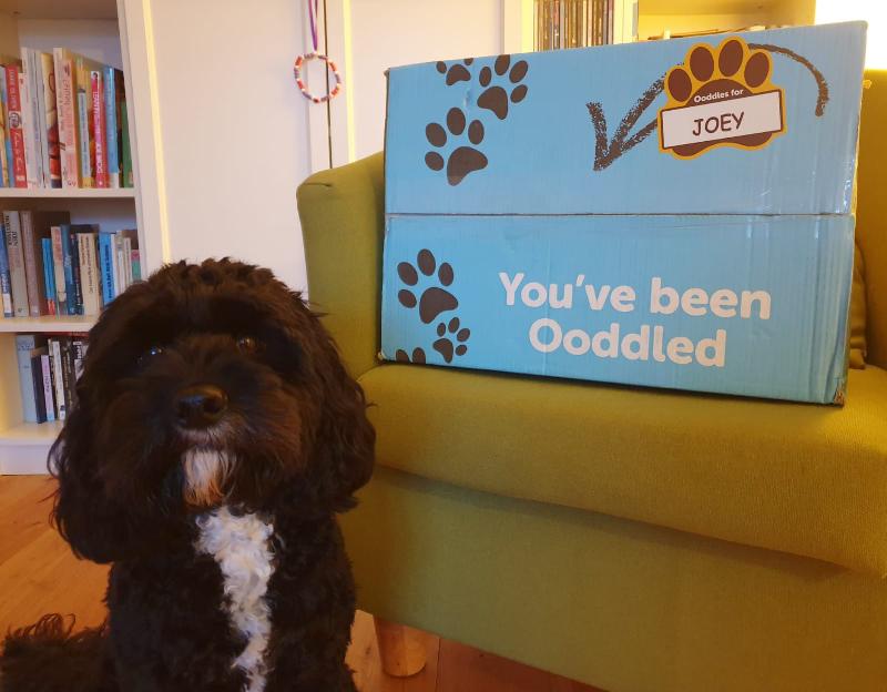 Customised Delivery🐶