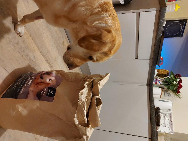 Excellent. We're not changing as healthy k9 suits us all