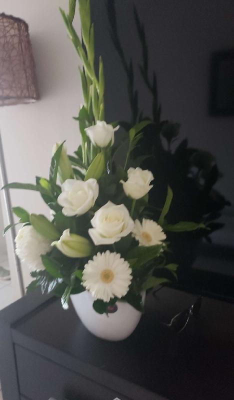 Best flowers I've ever bought.