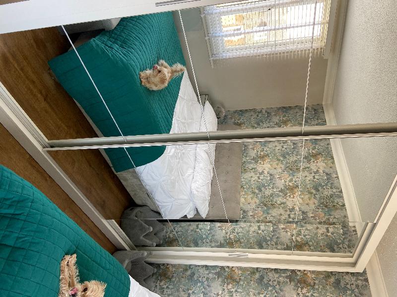 Five star delivery, service and installation