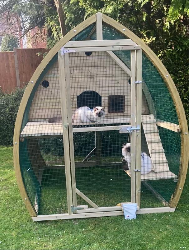 Fablous Catio