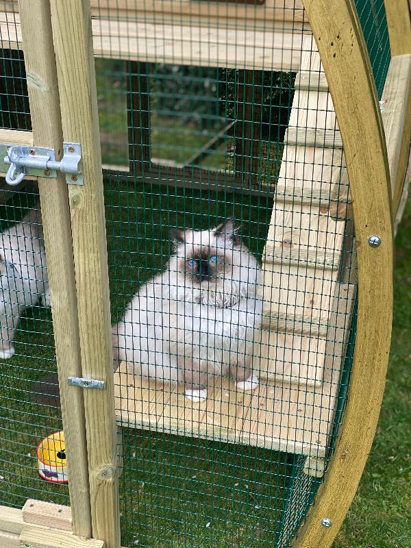 Fablous Catio