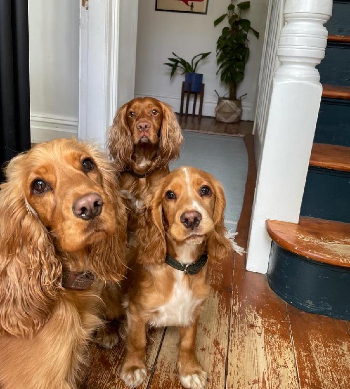 Great food for great price