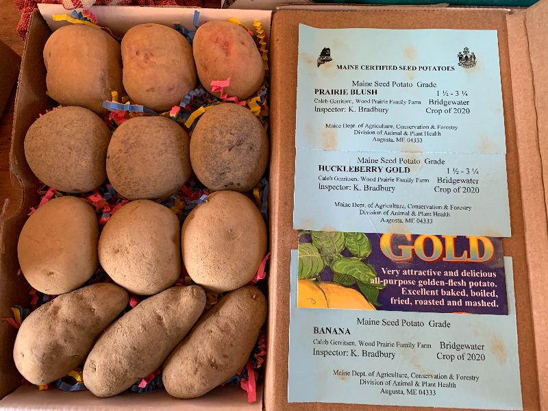 Wood Prairie 's seed potatoes are an excellent gift in anyone's door in the