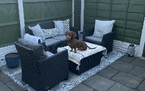 Seal N Tint Charcoal 5l Reviews Paintpeople Reviews Feefo