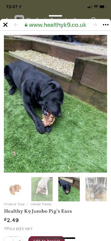 Great company, happy customer and even happier dogs.
