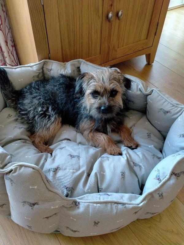 Love this bed