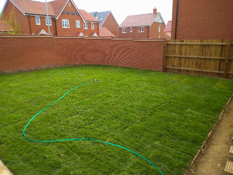 Great top soil and turf