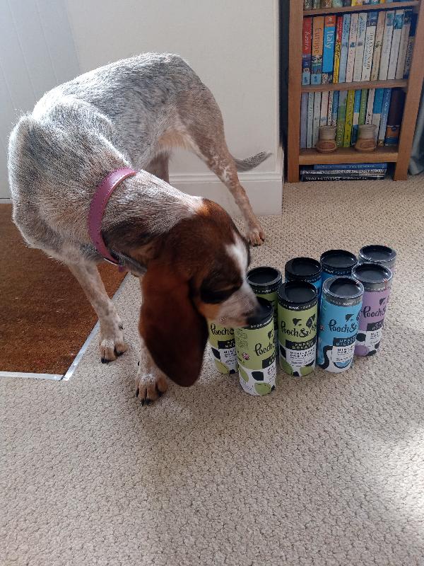 Yummy food for my doggy's tummy.