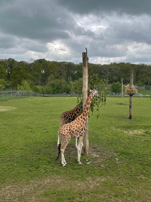 I love Marwell