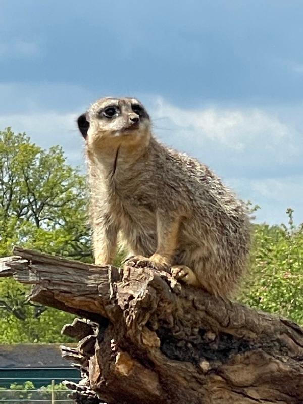I love Marwell