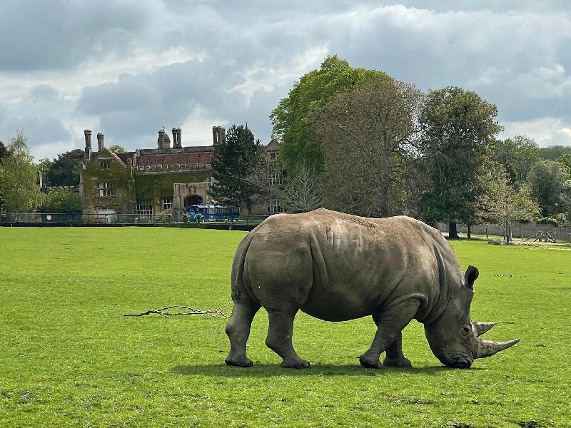 I love Marwell