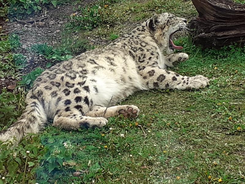 I really love walking around marwell the