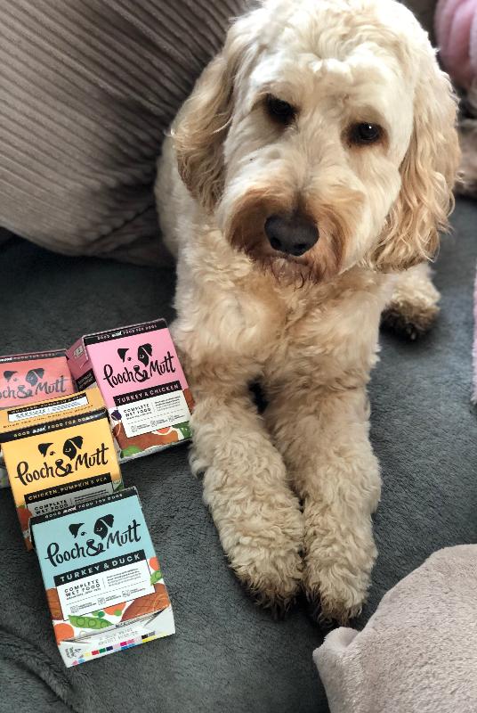 Wet Food Multi Box/ Treat Packs.