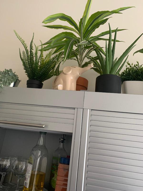 Cutest home decor shop