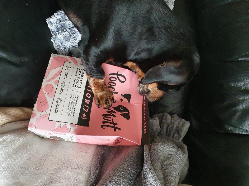 Pellet & wet food order
