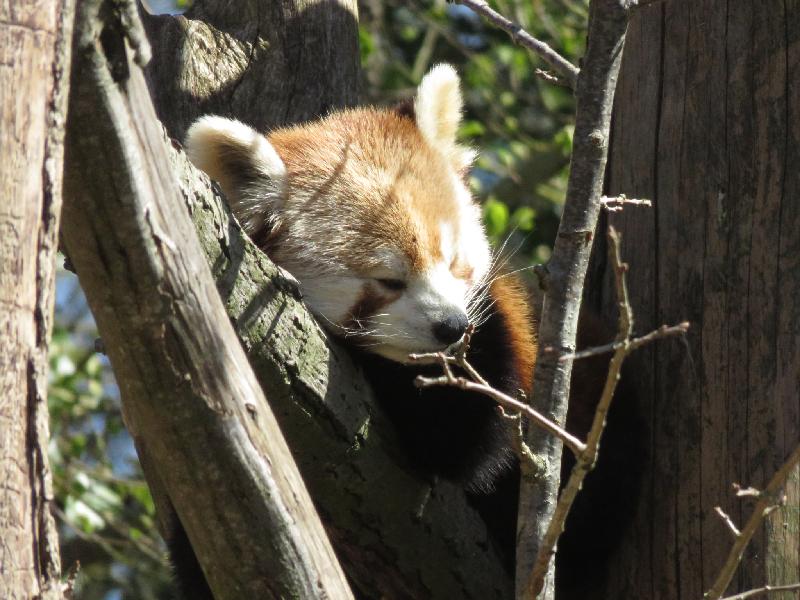 We love Marwell.