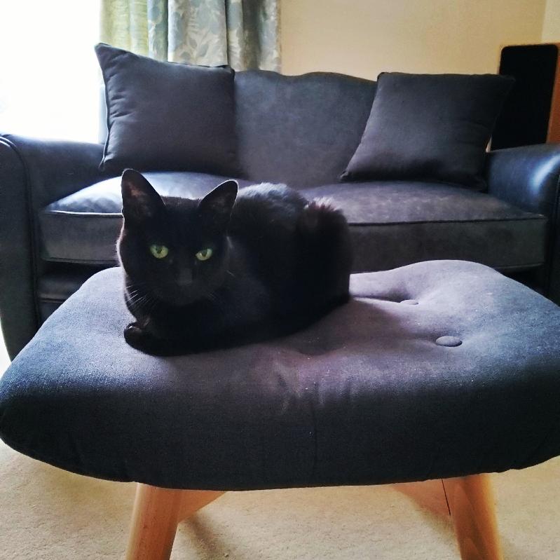 Excellent service and brilliant furniture.