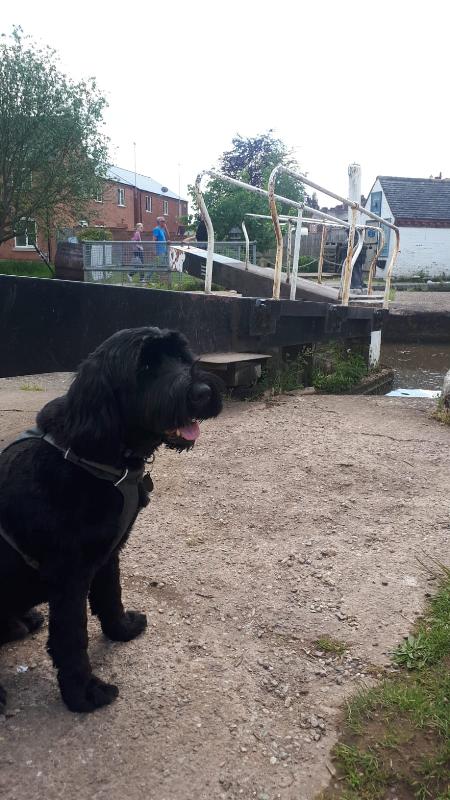A wonderful week on the Grand Union Canal on our favourite boat!