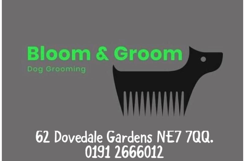 Good price for excellent products